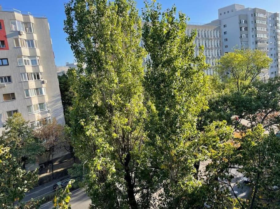 Apartament Mav Bukareszt Zewnętrze zdjęcie